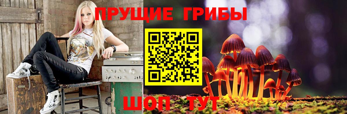 Псилоцибиновые грибы ЛСД Азнакаево
